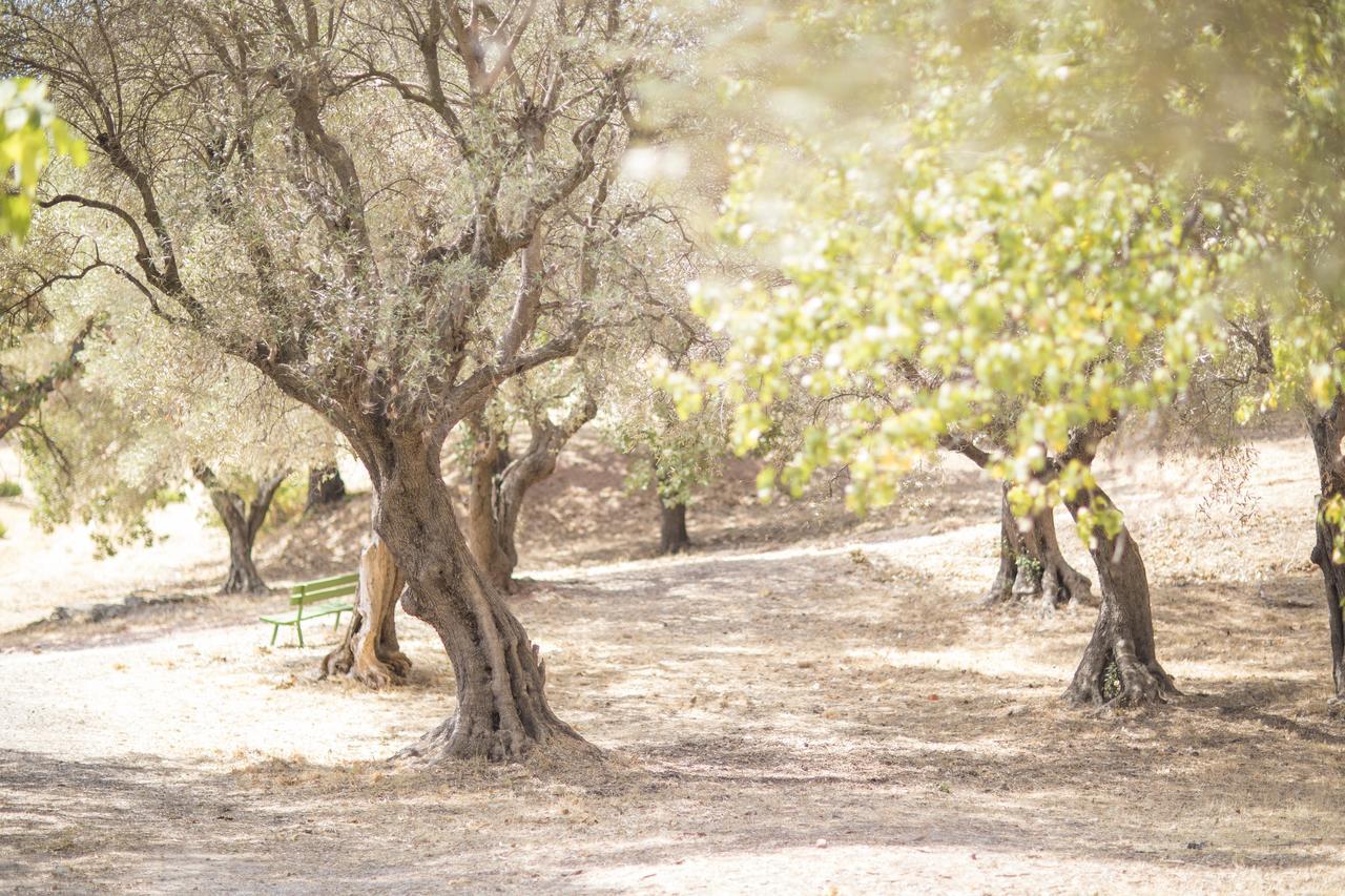 Domaine Des Gueules Cassees 3* La Valette-du-Var